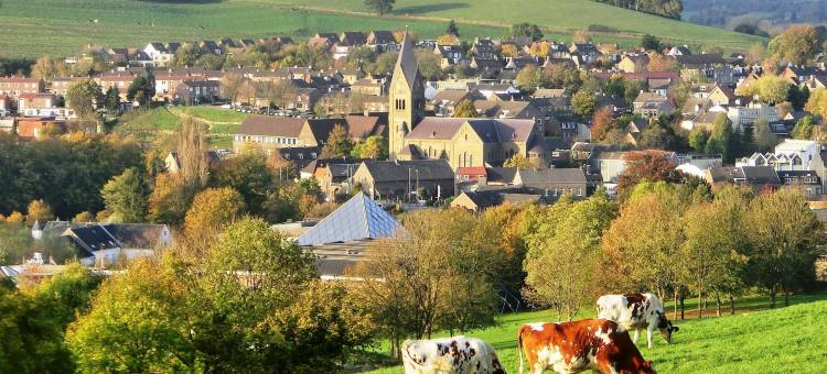 古尔本兰德赛扬酒店(Saillant Hotel Gulpenerland - Auping Hotel Partner)图片