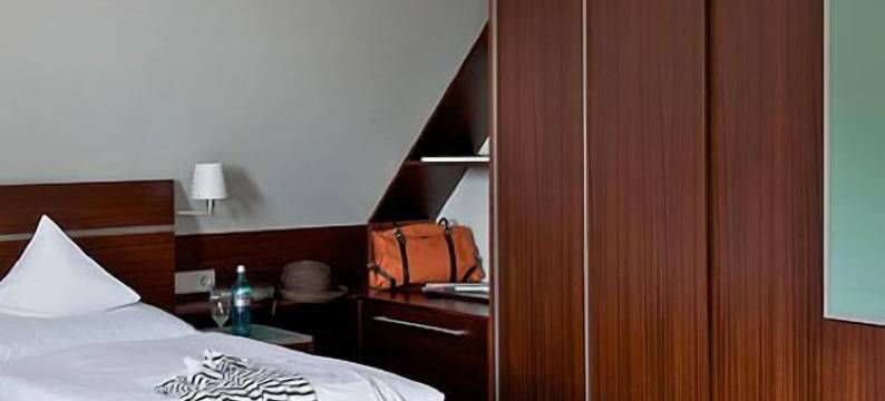 雄狮AKZENT酒店(Akzent Hotel Löwen)图片