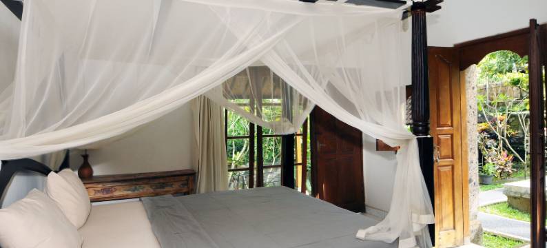 于莉亚迪别墅酒店(Yuliati House Ubud)图片