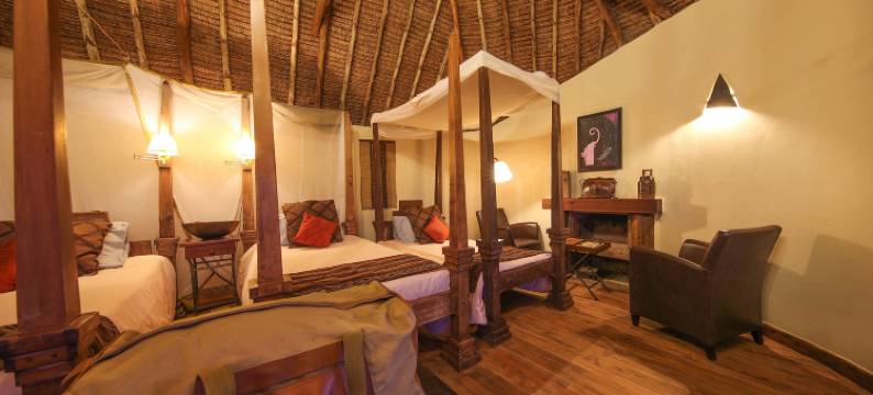 塔威山林小屋(Tawi Lodge)图片