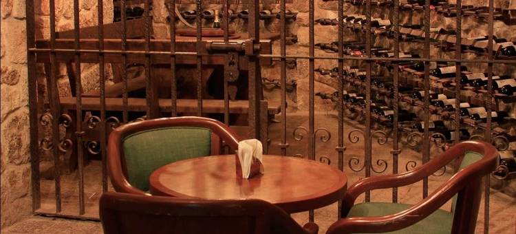 阿根托酒店(Hotel Argento)图片