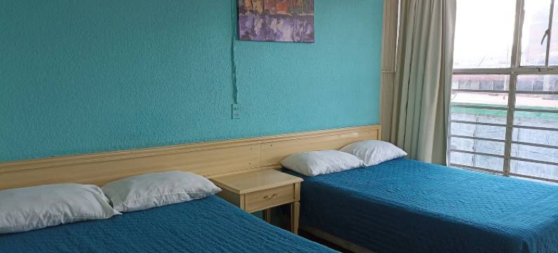 维耶纳酒店(Hotel Viena)图片