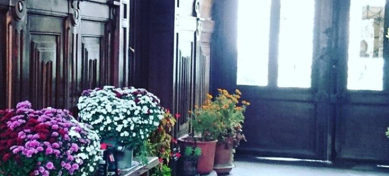 维艾耶法式酒店(Vieille France)图片