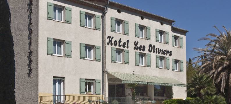 欧利维酒店(Hotel les Oliviers)图片