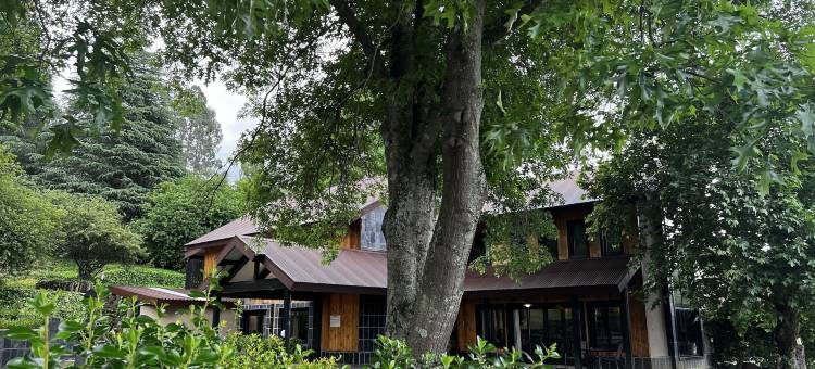 孔雀石庄园(Malachite Manor)图片