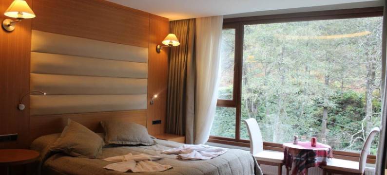 阿伊德尔哈斯莫格鲁酒店(Ayder Hasimoglu Hotel)图片