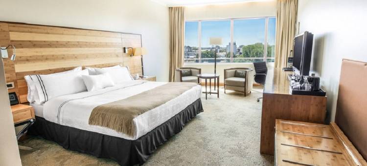 奥索尔诺索尼斯塔酒店(Sonesta Hotel Osorno)图片