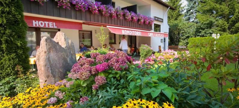 塔布里克康体酒店(Wellness-Hotel Talblick)图片