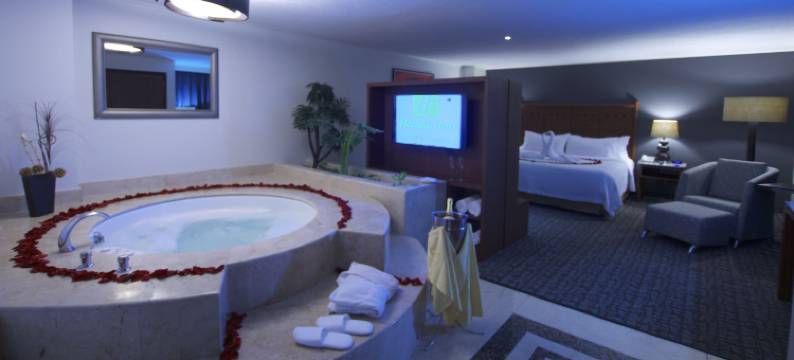 Holiday Inn 墨西哥城贸易城的中心(Holiday Inn CIUDAD DE MEXICO-TRADE CENTER by IHG)图片