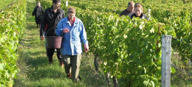 蒂法尼的秘密住宿&早餐酒店(B&B les Secrets de Tifayne)图片