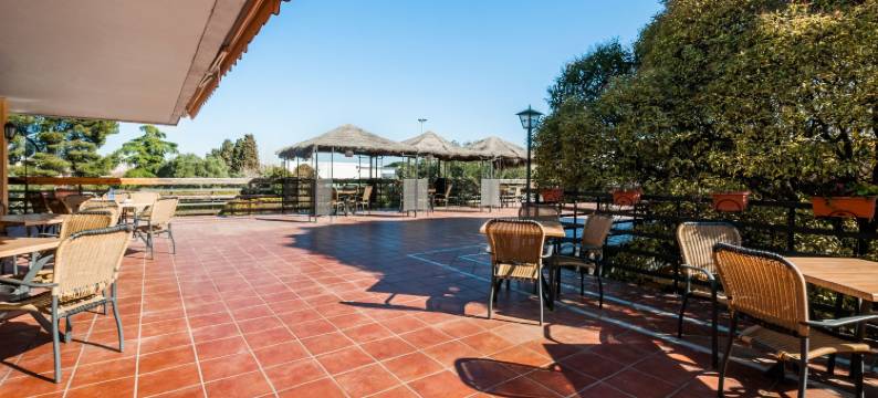 洛斯奥利沃斯酒店(Hotel Los Olivos)图片