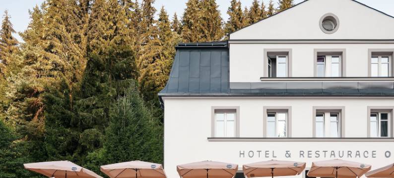 奥尔利克酒店(Hotel Orlík)图片