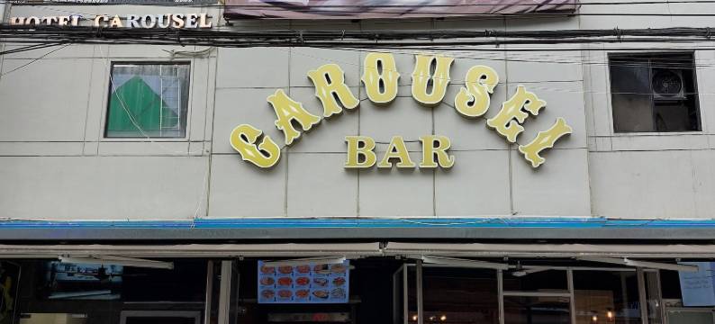 田野酒店旋转木马(Fields Hotel Carousel)图片