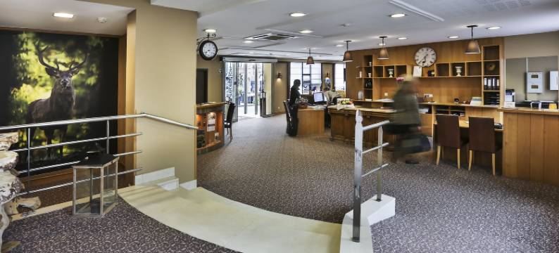 卡地亚拉丁酒店(Hotel Quartier Latin)图片