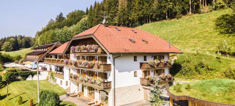 布劳恩加姆斯酒店(Hotel Blaue Gams)图片