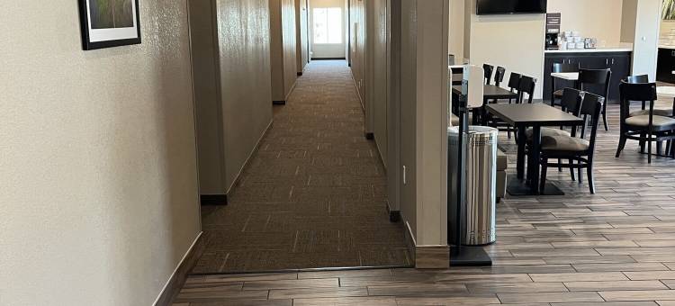 达拉斯西北MainStay套房(MainStay Suites Dallas Northwest - Irving)图片