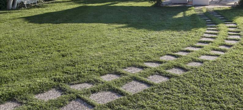 博德勒拉嘎维农庄(Agriturismo Podere l'Agave)图片