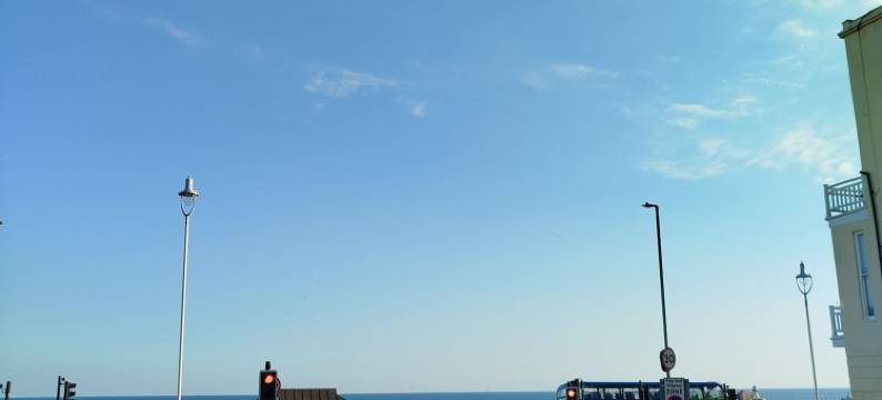 柳树酒店(The Willows)图片