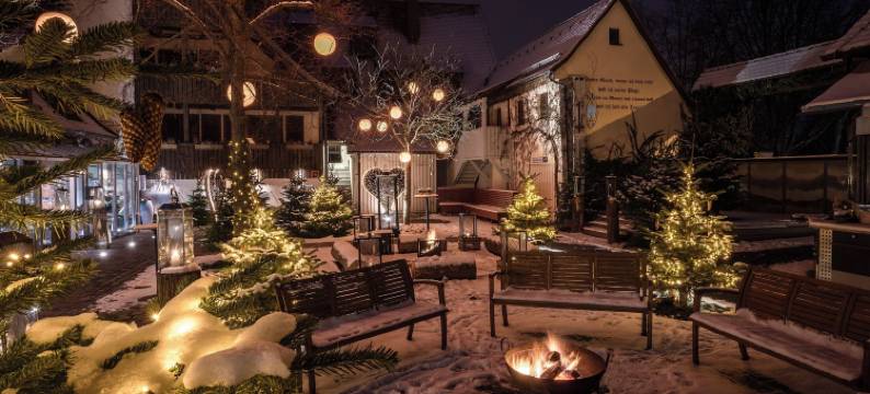 辛德勒霍夫酒店(Hotel Schindlerhof)图片