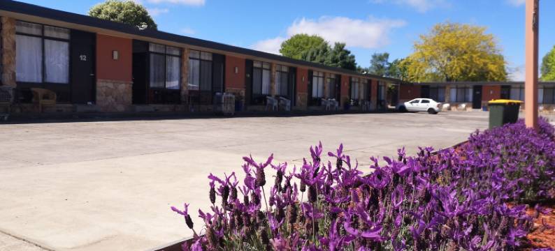 大道汽车旅馆(Avenue Motel)图片