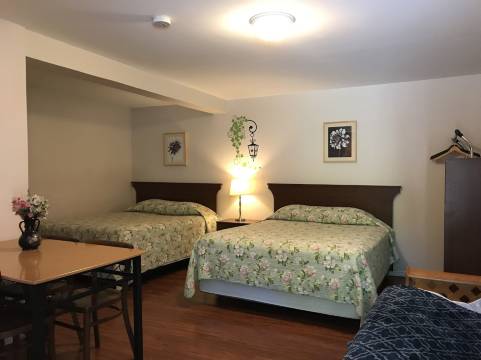 德尔拉珀汽车旅馆(Motel des Erables)