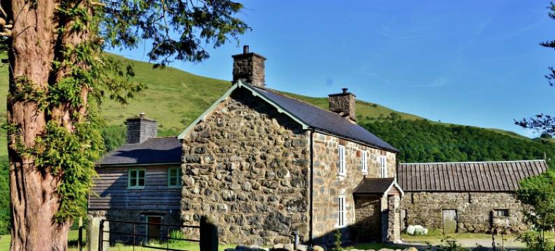 菲尔凯特乡村别墅民宿(The Firecat Country House Guesthouse)图片