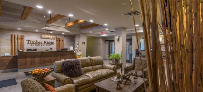 廷柏山套房酒店(Timber Ridge Inn and Suites)图片