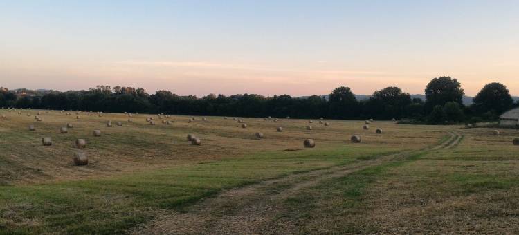 努萨别墅住宿加早餐旅馆(Villa la Nussa)图片