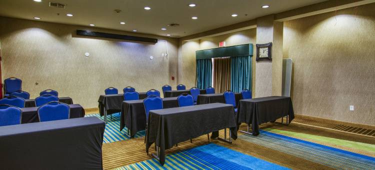 韦科北舒适套房酒店-近大学区(Comfort Suites Waco North - Near University Area)图片