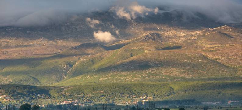 柯洛纳家庭旅馆(Corona B&B)图片