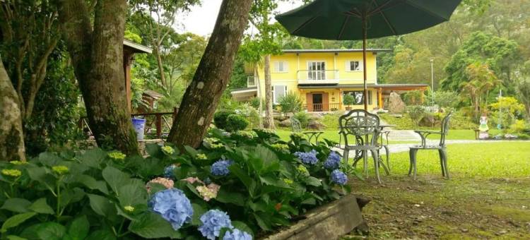 萱草森林乡村民宿图片