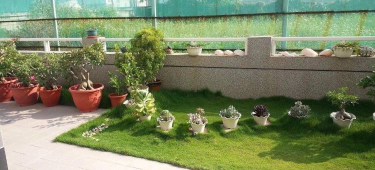 紫月桐民宿二馆图片