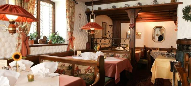 金狮酒店(Gasthof Zum Löwen)图片