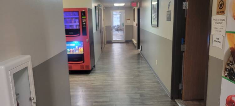 凯艺套房酒店(Quality Inn & Suites)图片