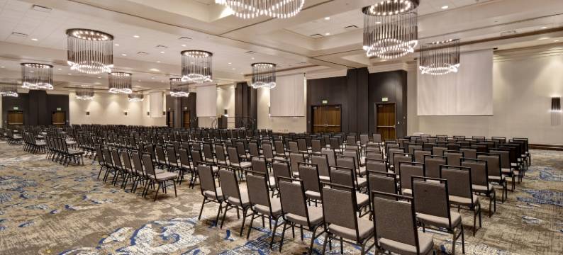 罗利达勒姆三角研究园希尔顿安泊酒店(Embassy Suites by Hilton Raleigh Durham Research Triangle)图片