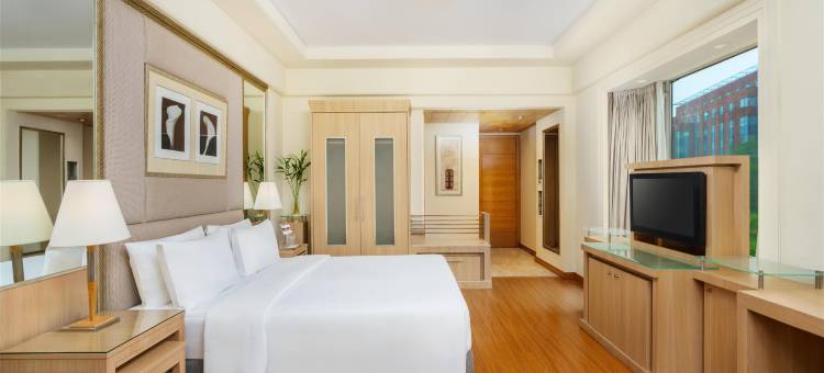 古尔冈丽亭酒店(Park Plaza Gurugram, India)图片