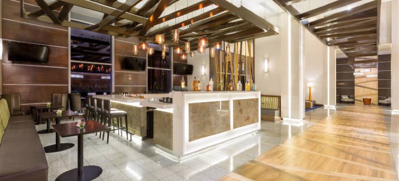 希尔顿花园酒店 －圣何塞拉萨瓦纳，哥斯达黎加(Hilton Garden Inn San Jose la Sabana)图片