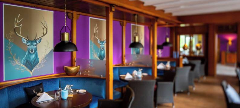 瓦尔德酒店熊石(Waldhotel Bärenstein)图片