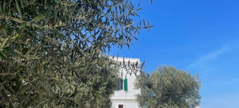 圣洛伦佐庄园度假村(Masseria San Lorenzo Resort)图片