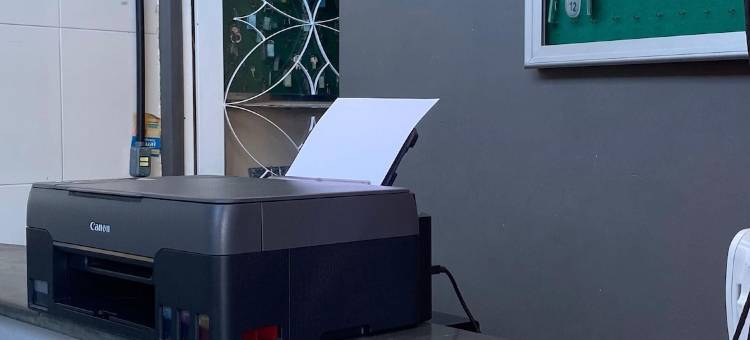 伊塔瓜伊恩占尤住宿旅馆(Pousada e Alojamento Engenho de Itaguaí)图片