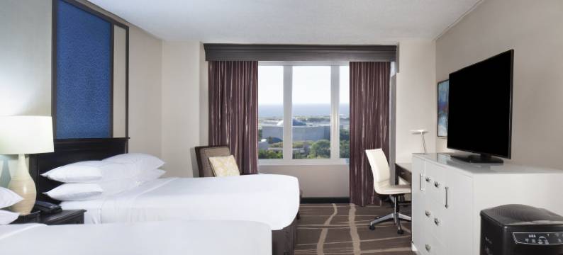 圣彼得堡海湾希尔顿酒店(Hilton St. Petersburg Bayfront)图片