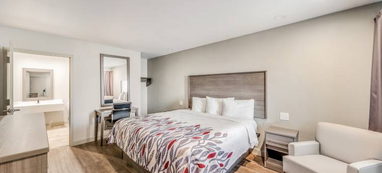 刘易斯维尔红屋顶酒店(Red Roof Inn Lewisville)图片