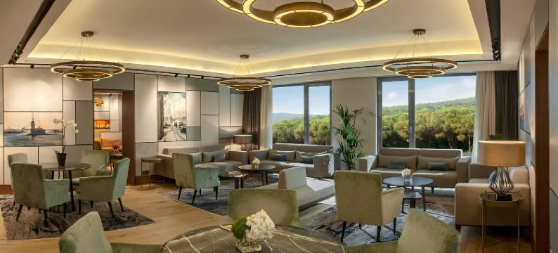 伊斯坦布尔马斯拉克盛捷酒店(Somerset Maslak Istanbul)图片