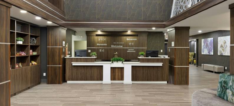 麦卡伦维尔塔酒店(Verta Hotel McAllen)图片