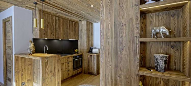 Modern 2 bedroom apartment, close to ski lifts图片