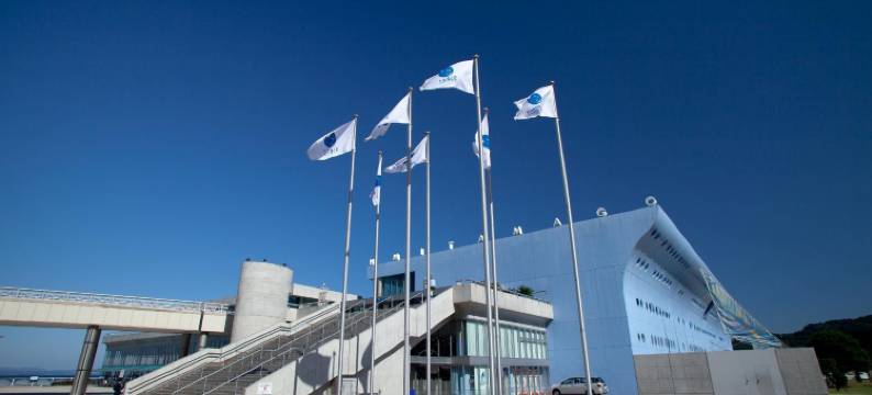 大分阿里斯顿酒店(Natural Hot Spring Ariston Hotel Oita)图片