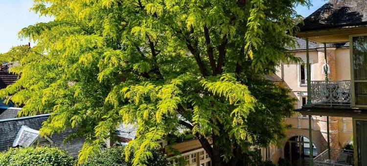 金狮大酒店(Grand Hôtel du Lion d'Or)图片