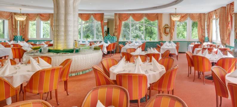 恩萨纳蝴蝶酒店(Ensana Butterfly)图片