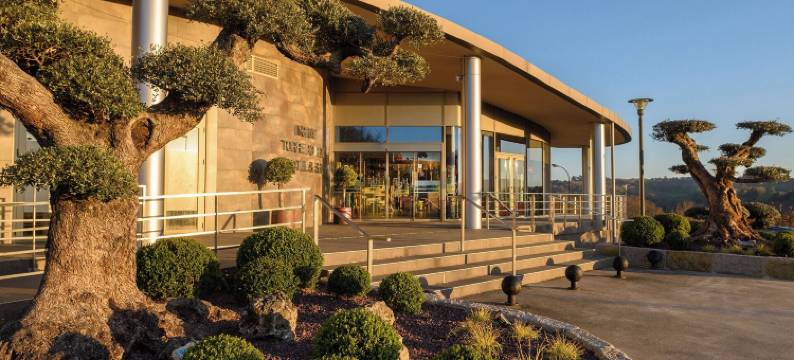 诺拉特托雷德萨酒店(Hotel Spa Norat Torre Do Deza)图片