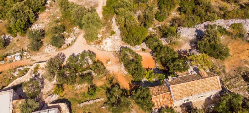 薰衣草之家(House Lavanda)图片